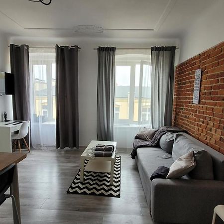 City Center Zwirki Apartment 罗兹 外观 照片